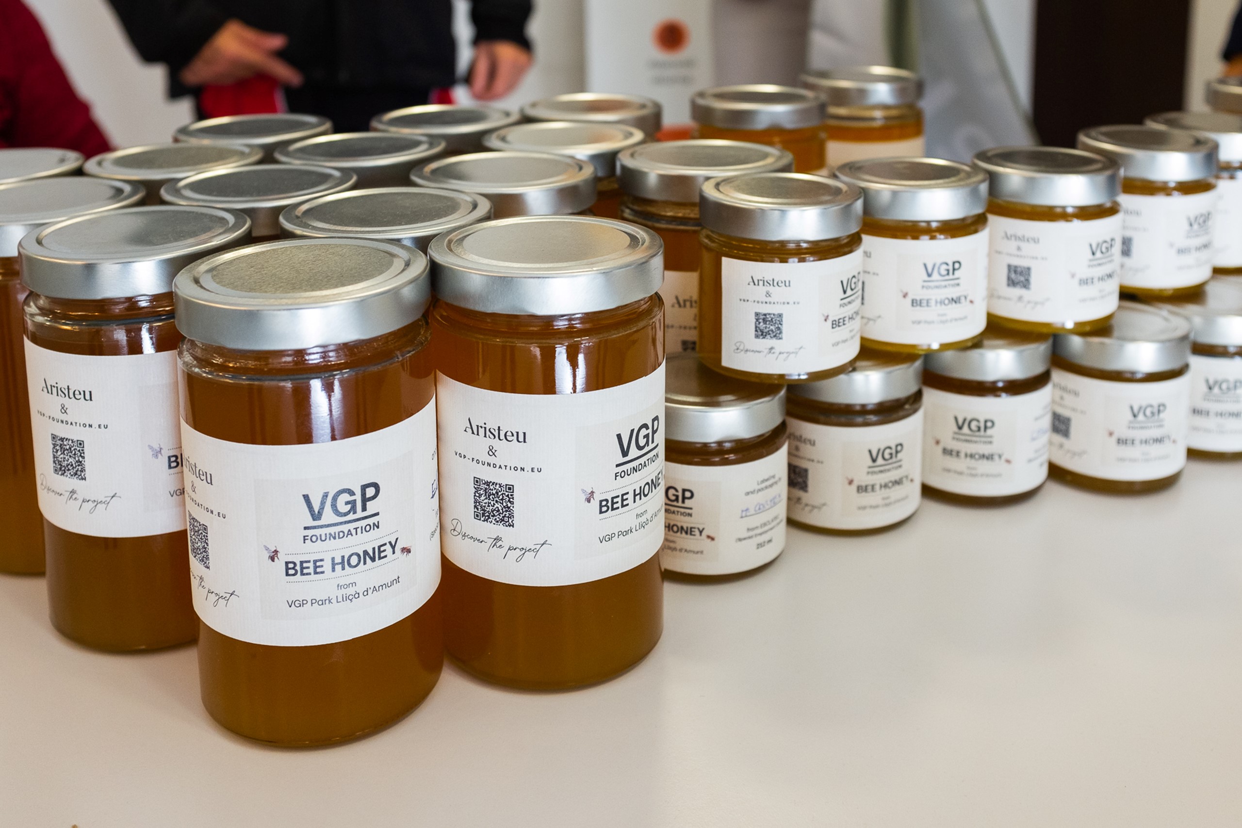 VGP Foundation